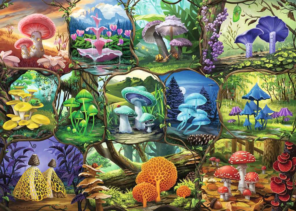 Beautiful Mushrooms 1000-Piece Puzzle