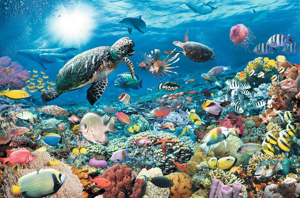 Beneath the Sea 5000-Piece Puzzle