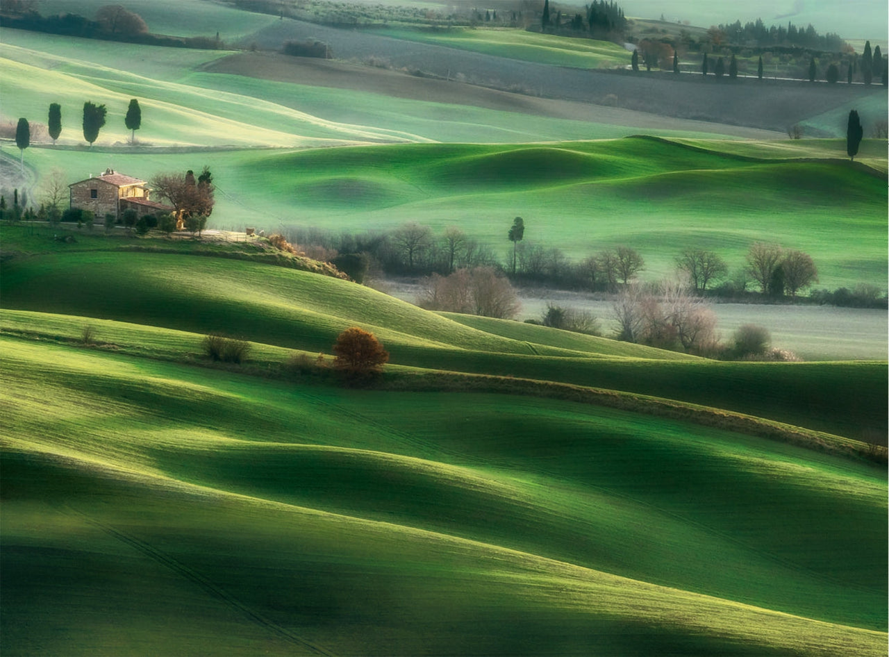 Puzzle 500 pièces Collines de Toscane