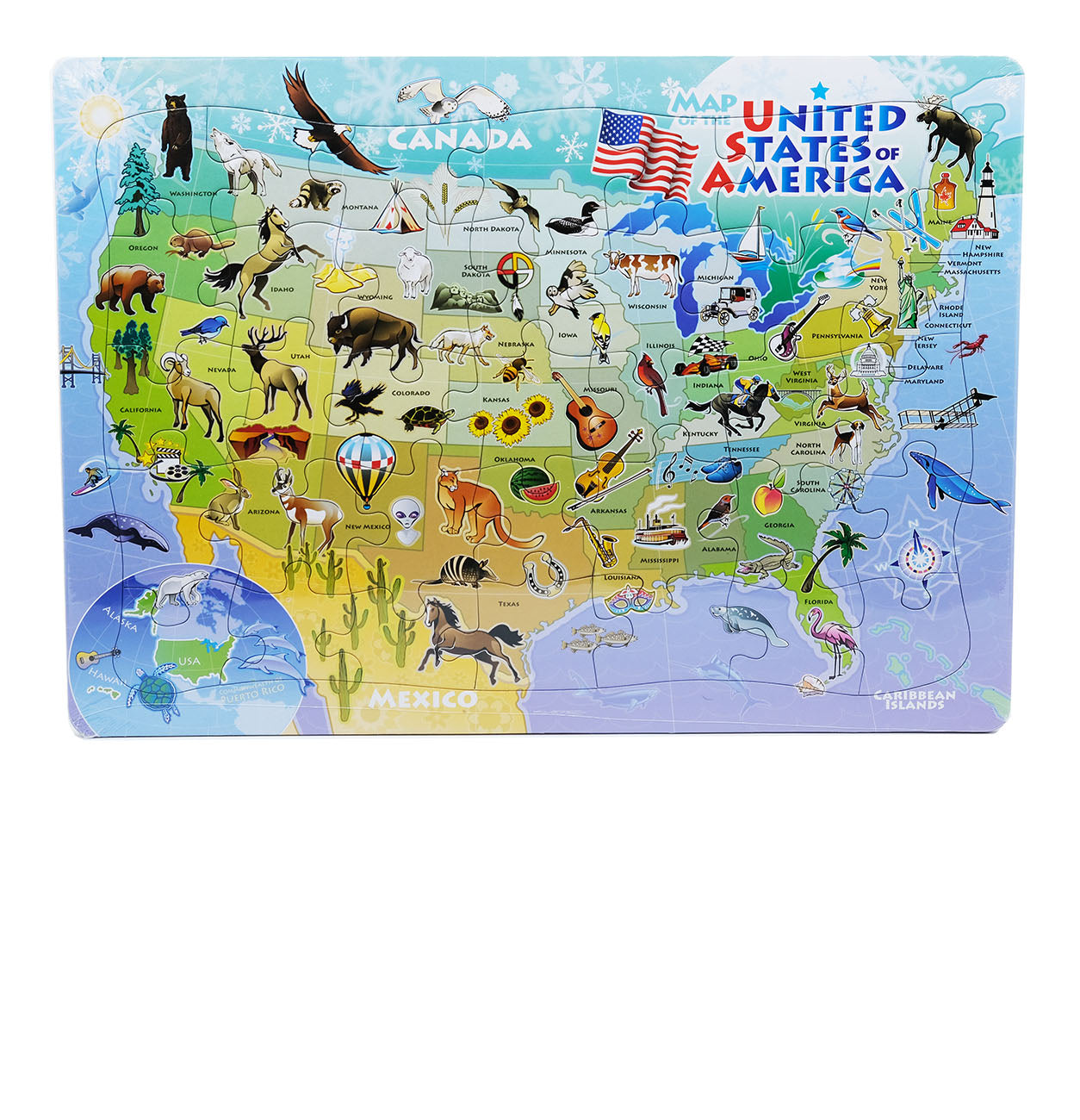 USA Map 35-Piece Tray Puzzle